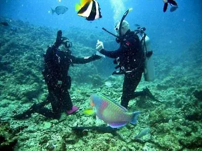 Appartement Radazul Paraiso Beach - Dive